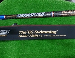 エバグリ・ＥＧスイミング・マニピュレーター・シール偏光・ＤＶＤ　（茨木店）